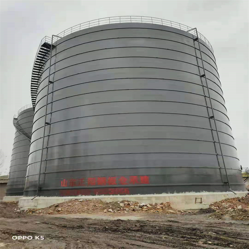 东城3万吨大型钢板库