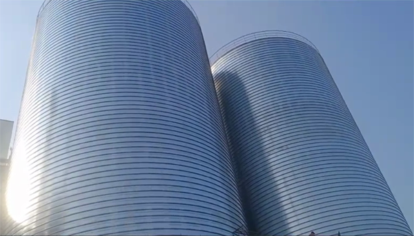 东城2座混凝土高架卷板仓